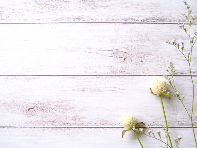 ノンポリのイメージ画像