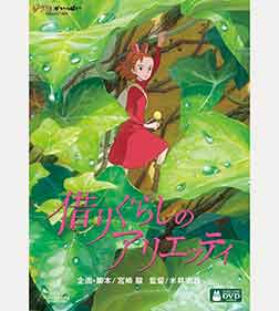 「マルモのおきて」のDVD-BOX